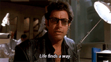 lifefindsaway