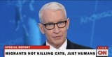 Defend American Cats CNN