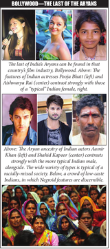 Different mixes of Indians