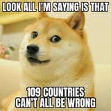 109dogge