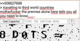 8dots