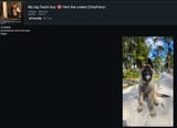 OF