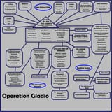 structure-of-operation-gladio-v0-soeqb11fpf5a1