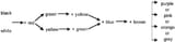 The-Berlin-and-Kay-hierarchy-of-basic-colour-terms