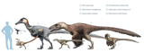 Dromaeosaurs