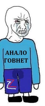 anal gavno net
