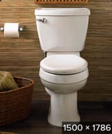 Screenshot 2025-06-24 at 17-44-10 toilet at DuckDuckGo