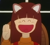 Ranze tanuki