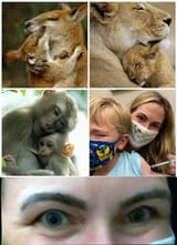 mother_vaccine