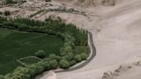 china-desert-to-forest