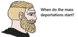 Mass deportation