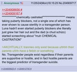 USA pajeet 2