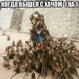 1720176535949
