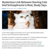 catfags mentally ill