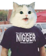 Nigger Cat shirt