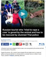 russian cow rapist