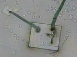 nanocircuit