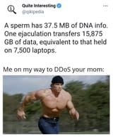 DDOS your mom