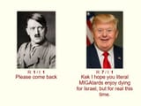 please come back hitler