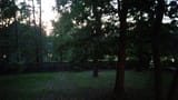 IMG_20250624_210218390