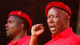 Malema4