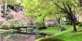 Vancouver Canada Nitobe Memorial Garden