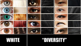 Diversity