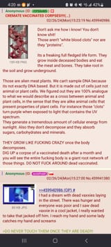 meatPlants