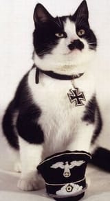 kitler_moustashe_seen_kyle