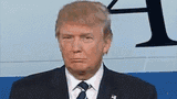 trump-donald-trump
