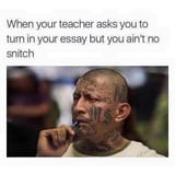 1733855830274286