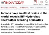tiny brain jeets