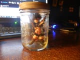 DSCN0390