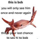 1690927760128684