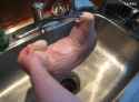 Garloidy_thumb.jpg