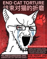 1750274491918123m