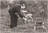 hitler_animal_lover