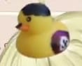 Hduck