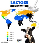 Lactose-intolerance