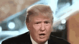 donald-trump-president