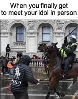 meeting your idol
