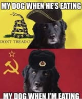 1750843551446618