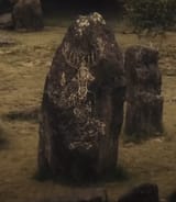 17508444602495