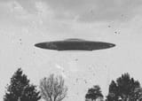 sub-buzz-10925-1486426362-6