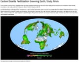 change in leaf area