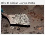 Jewish Chicks