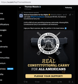 Massie gun rights
