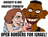 jews diversity mix with niggers