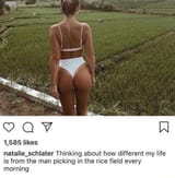 ricefield