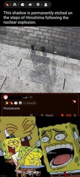 66lqqk